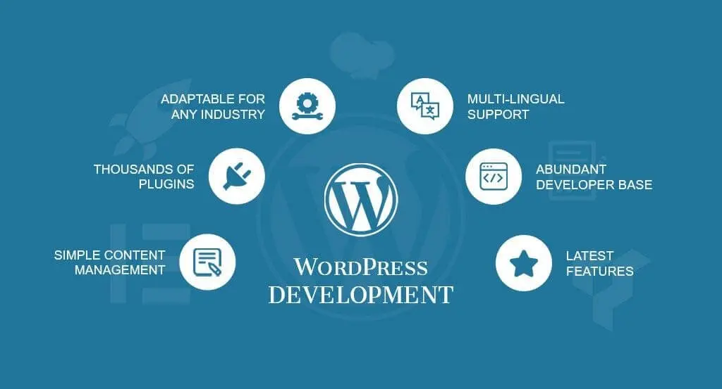 Best web developer in Malappuram 7