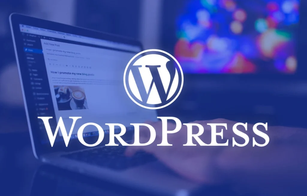 Best web developer in Malappuram 22